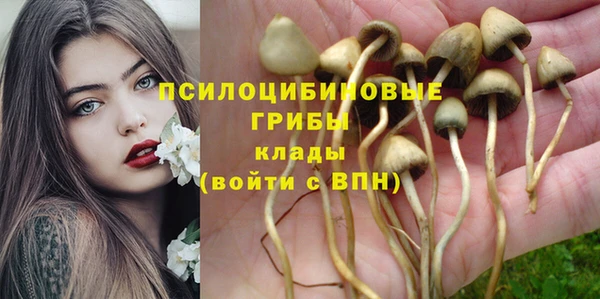 наркотики Зерноград