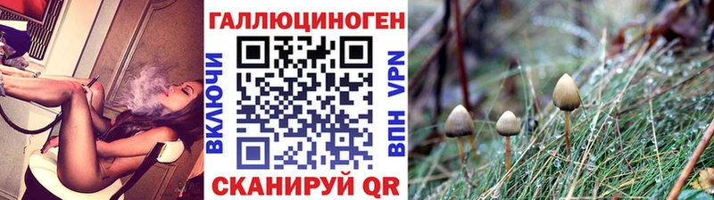 Галлюциногенные грибы GOLDEN TEACHER  ОМГ ОМГ ONION  Каменка 